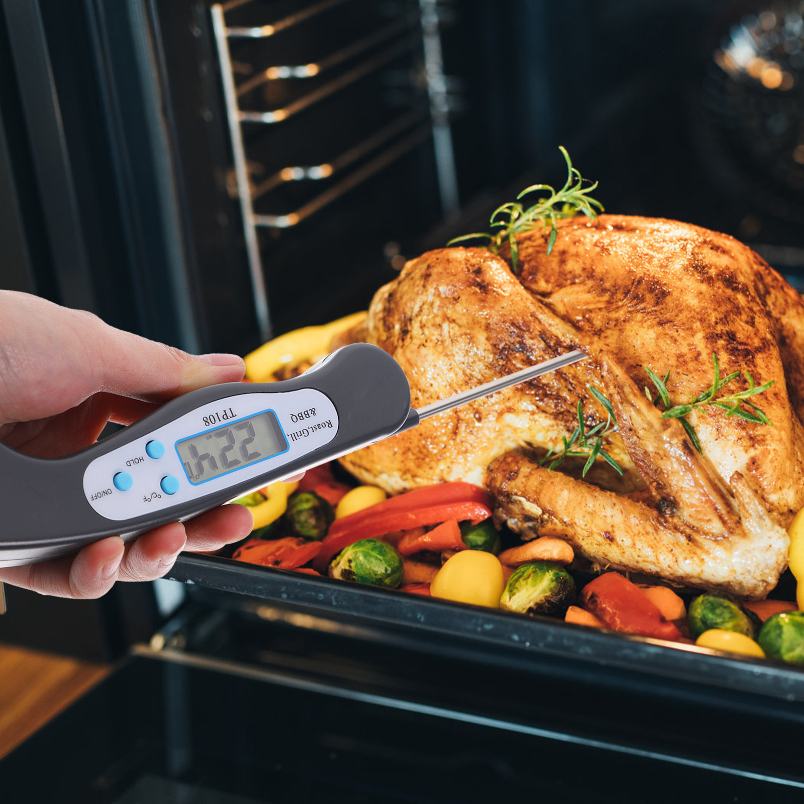 Digital Food Thermometer Probe - Home Cooking Fast Foods review and price