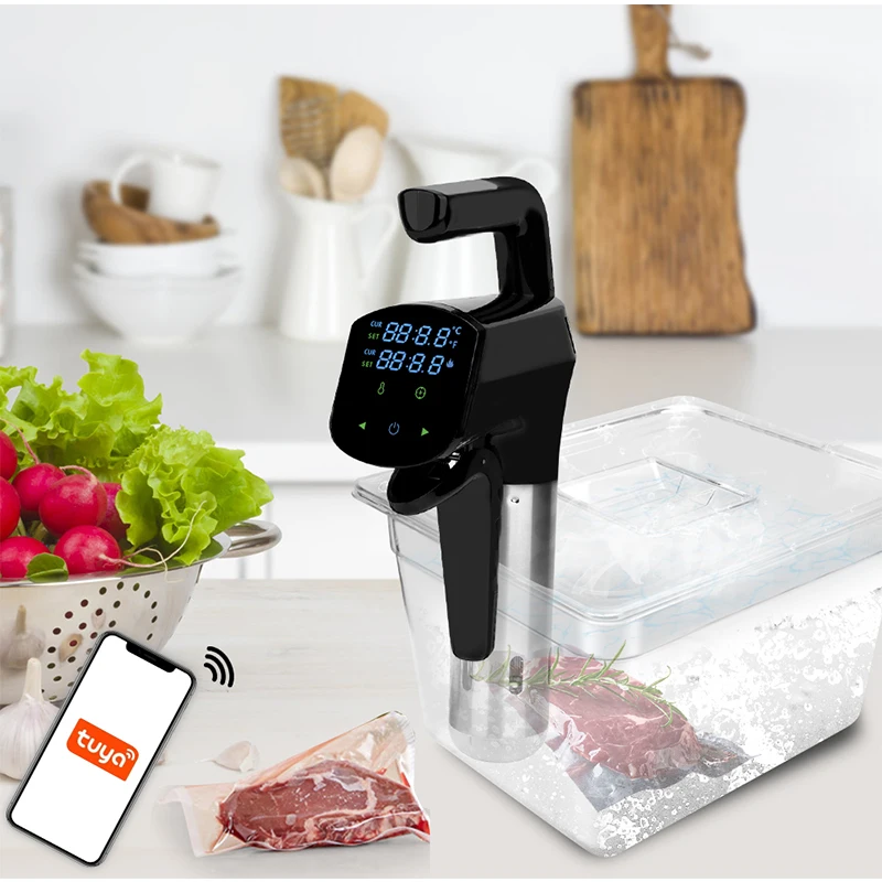 110V/220V Commercial Sous Vide - Home Cooking Steak review and price