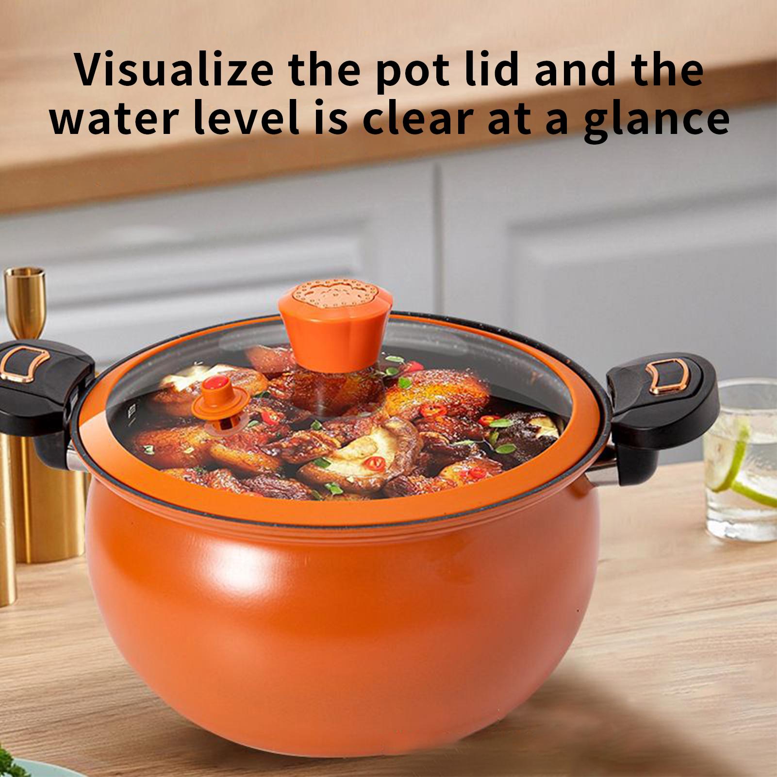 Pressure Cooker Cooking Pot fo - Home Cooking Fast Foods review and price