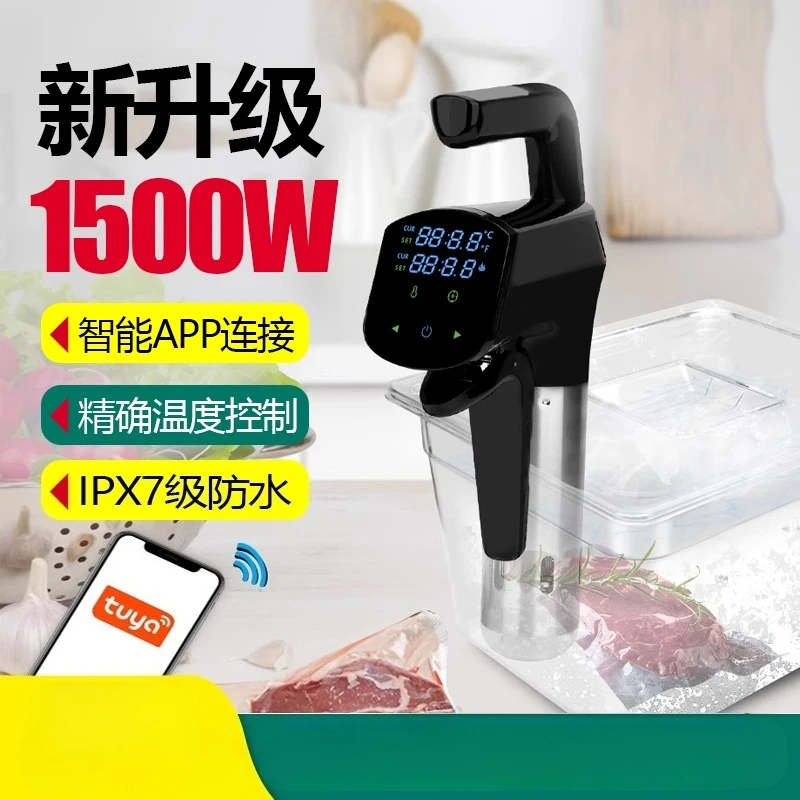 110V/220V Commercial Sous Vide - Home Cooking Steak review and price